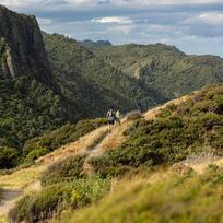 Waitakere Ranges