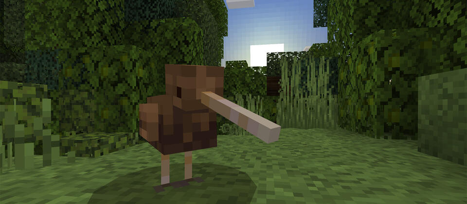 Kiwi in Minecraft's Aotearoa New Zealand DLC