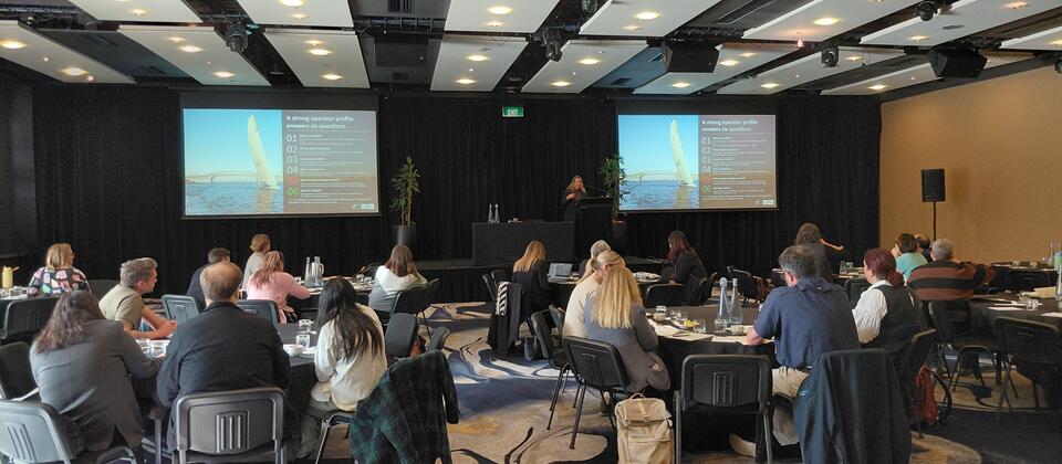 Work by Tourism New Zealand